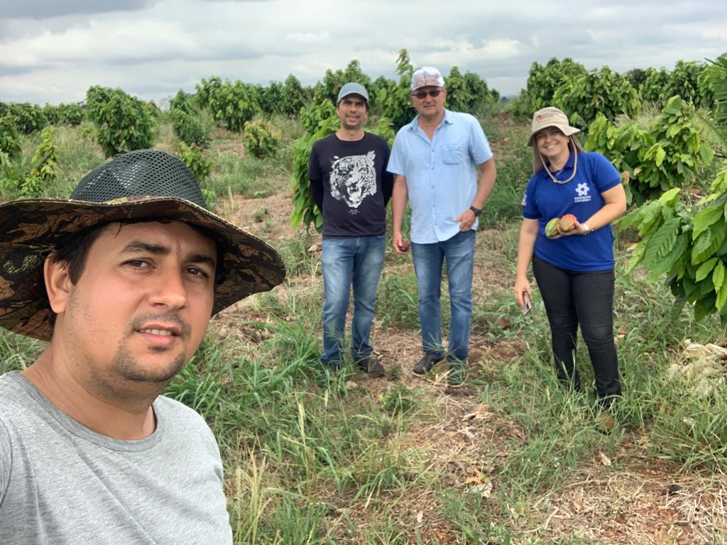 PROJETO INOVAÇÃO, TECNOLOGIA E SUSTENTABILIDADE PARA A CADEIA PRODUTIVA DA CACAUICULTURA ESTÁ COM AÇÕES EM ANDAMENTO NA REGIÃO DA TRANSAMAZÔNICA