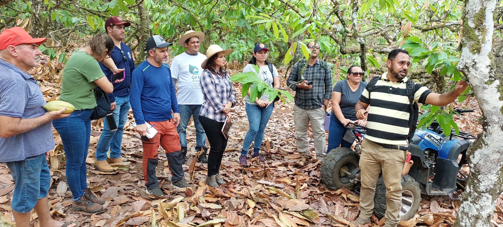 PROJETO INOVAÇÃO, TECNOLOGIA E SUSTENTABILIDADE PARA A CADEIA PRODUTIVA DA CACAUICULTURA ESTÁ COM AÇÕES EM ANDAMENTO NA REGIÃO DA TRANSAMAZÔNICA