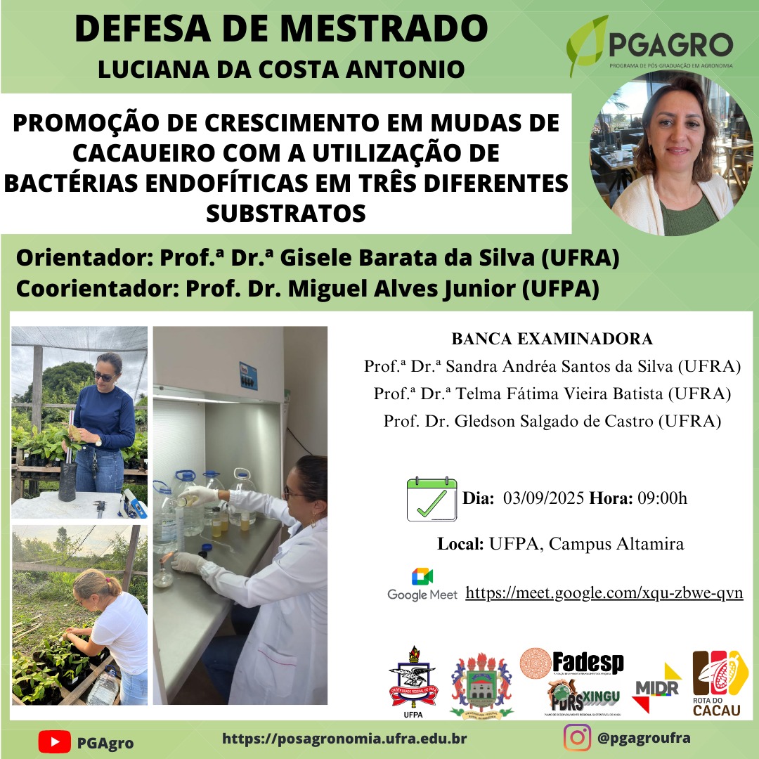 PESQUISA DE MESTRADO AVALIA INTERAÇÃO ENTRE O USO DE BACTÉRIAS ENDOFÍTICAS E DIFERENTES SUBSTRATOS NA PRODUÇÃO DE MUDAS DE CACAUEIRO NA TRANSAMAZÔNICA.